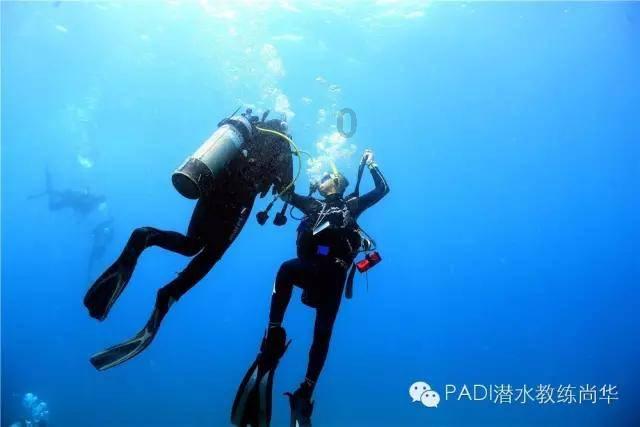 内蒙古乌兰察布马铃薯企业与知名休闲食品品牌开启战略合作